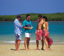 Take a guided beach walk and snorkelling tour with a marine biologist