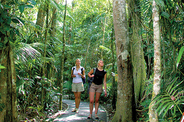 kuranda rainforest walks